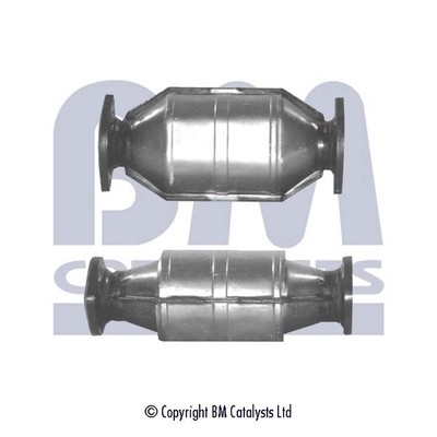 BM Catalysts BM91031