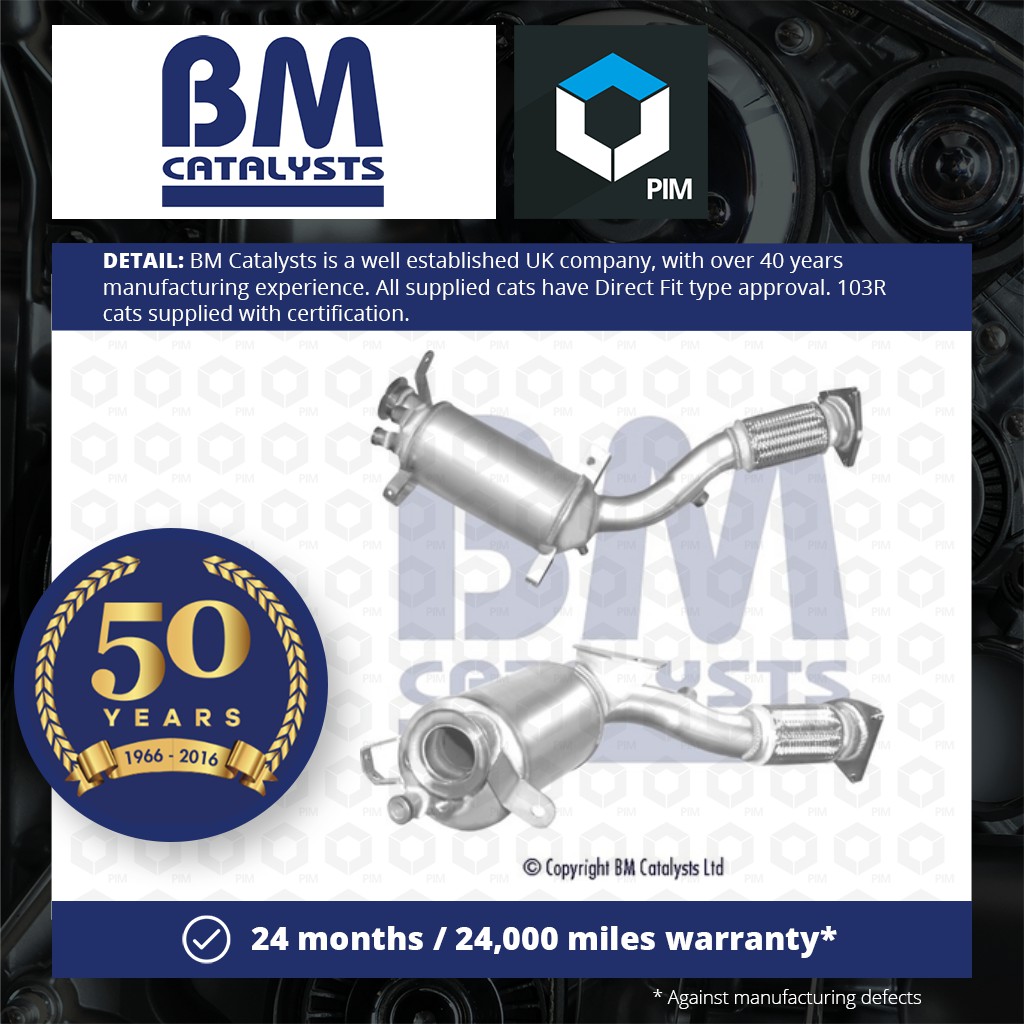 BM Catalysts BM11200P