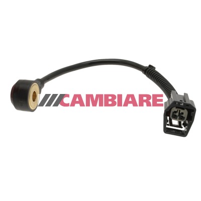 Cambiare VE369077