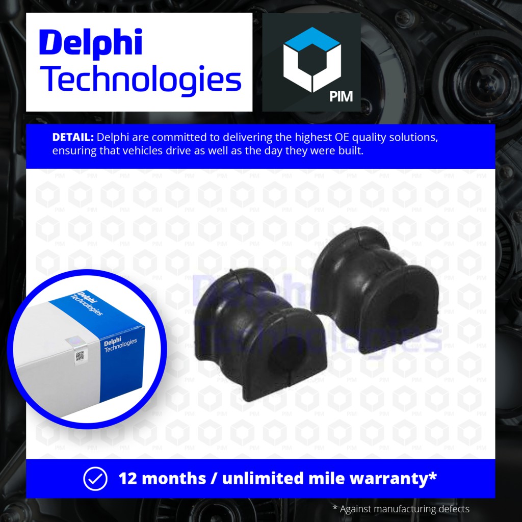 Delphi TD1015W