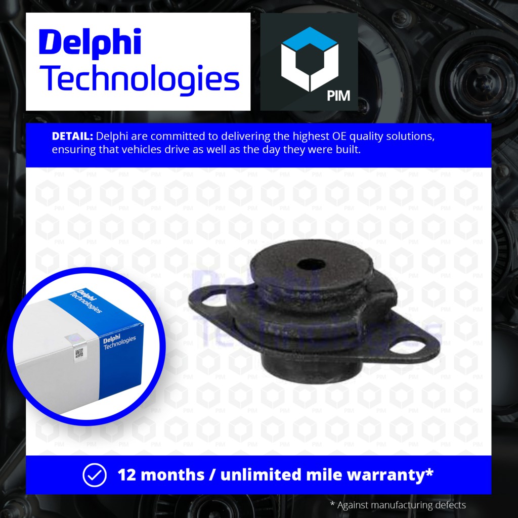 Delphi TEM109