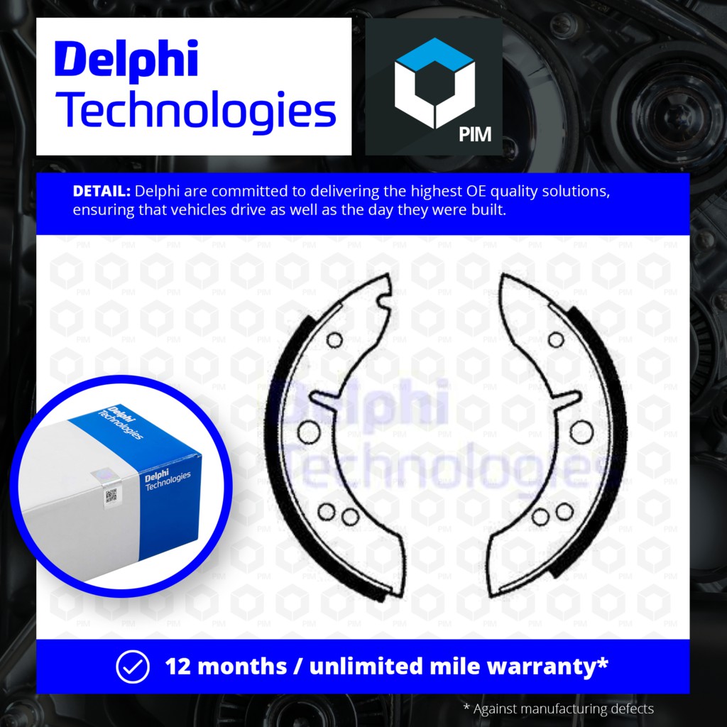 Delphi LS1001