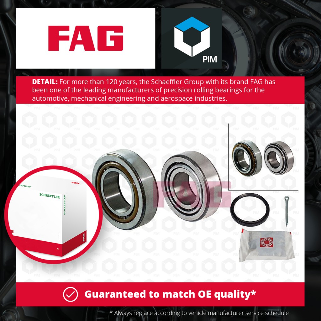 FAG Wheel Bearing Kit Rear 713630220 [PM459135]