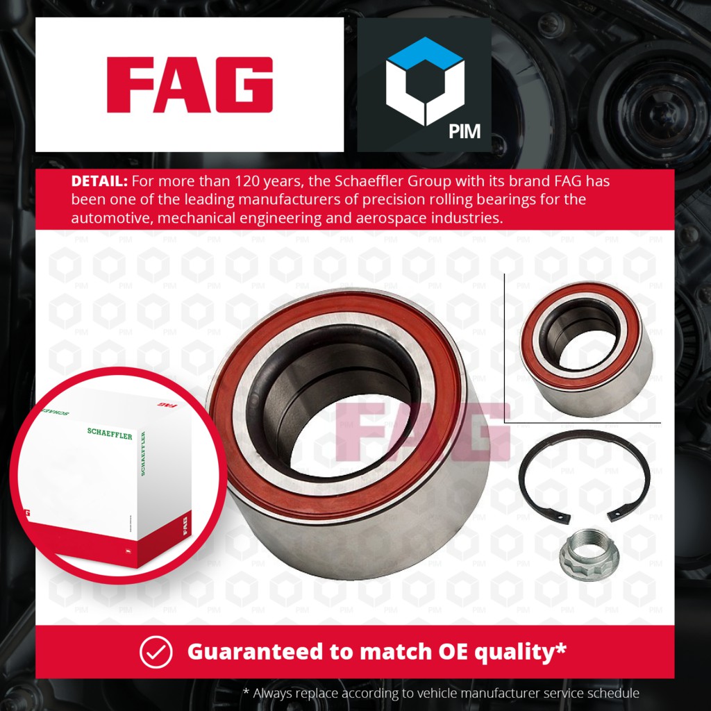 FAG Wheel Bearing Kit Rear 713649390 [PM459298]