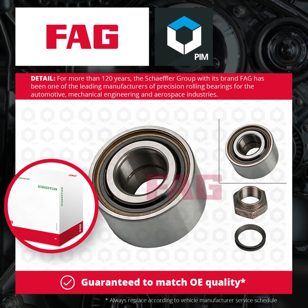 FAG Wheel Bearing Kit Rear 713640280 [PM459324]