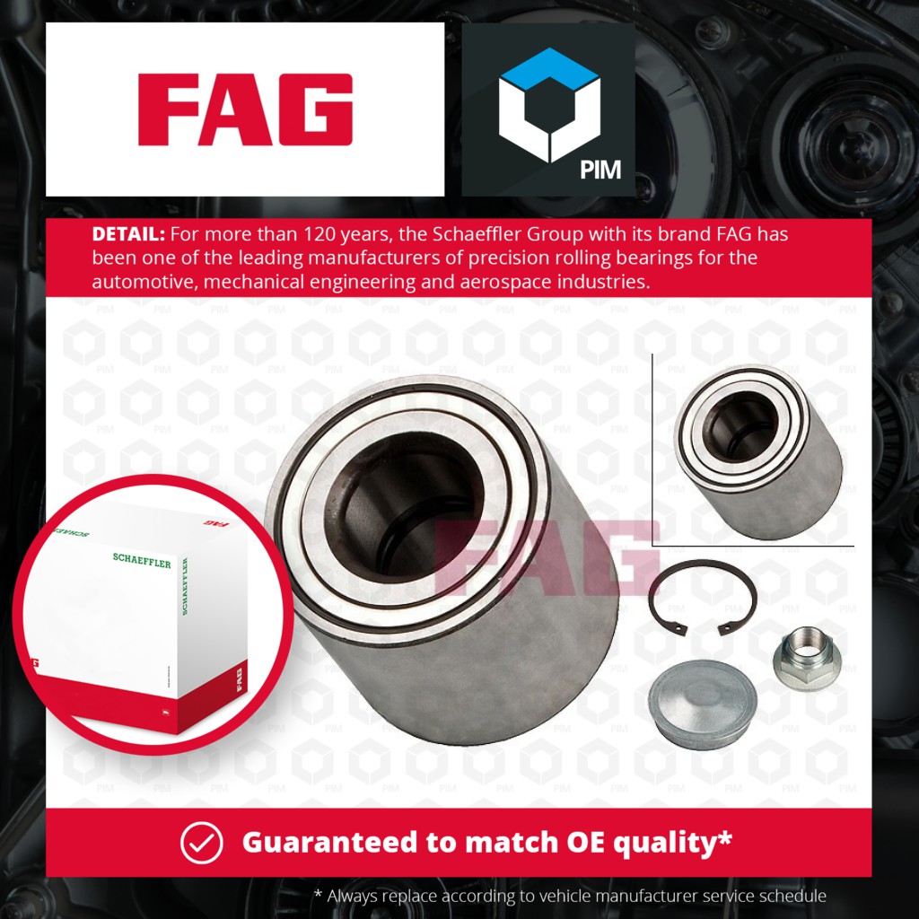 FAG Wheel Bearing Kit Rear 713630970 [PM459812]