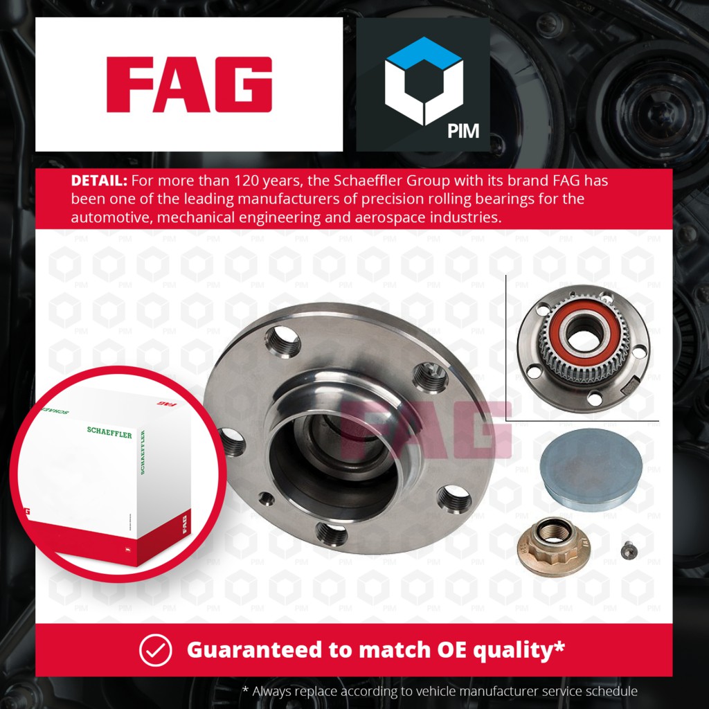 FAG Wheel Bearing Kit Rear 713610220 [PM459924]