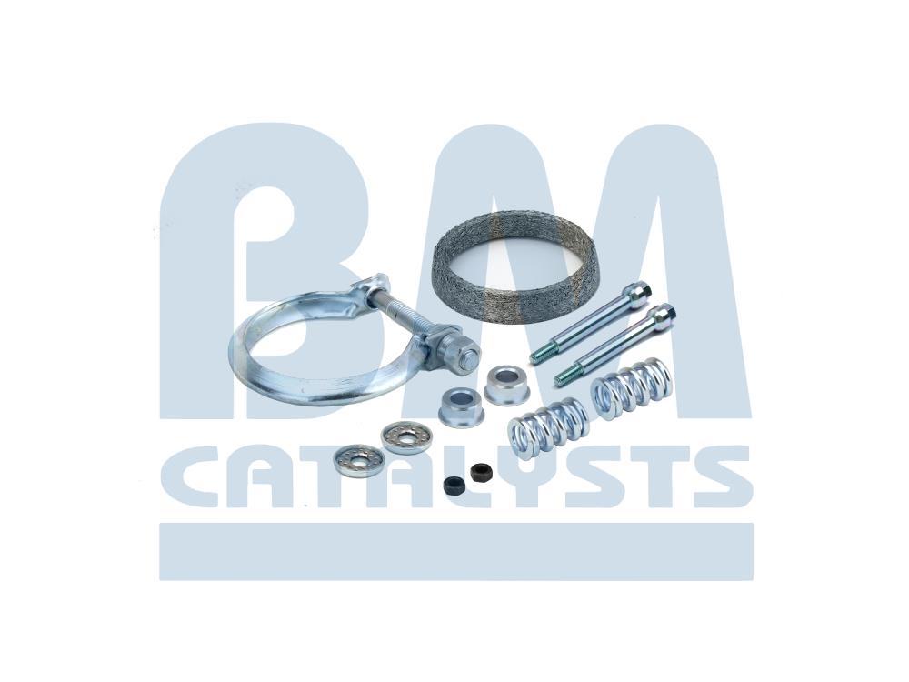 BM Catalysts FK91381C