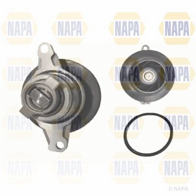 NAPA NWP1562 Water Pump