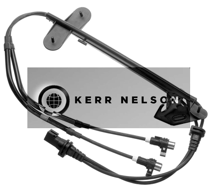 Kerr Nelson ALB031