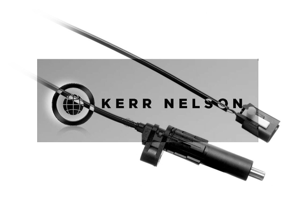 Kerr Nelson ALB040