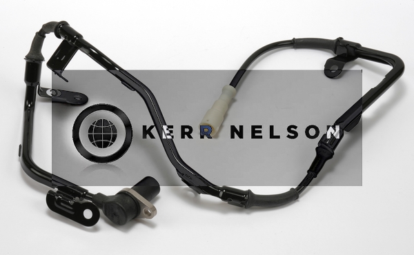 Kerr Nelson ALB084