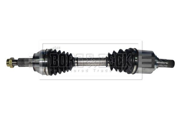 Borg & Beck BDS1198