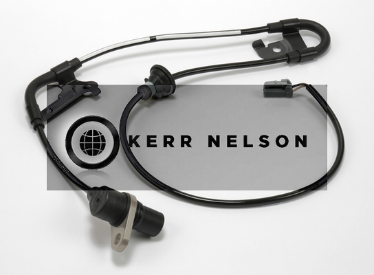 Kerr Nelson ALB163