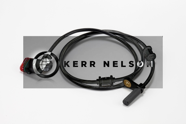 Kerr Nelson ALB194