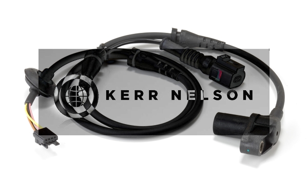 Kerr Nelson ALB228