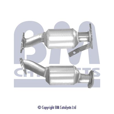 BM Catalysts BM80491