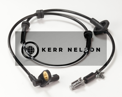 Kerr Nelson ALB486