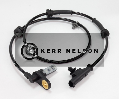 Kerr Nelson ALB491