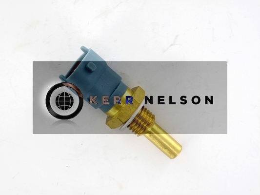 Kerr Nelson ECS002