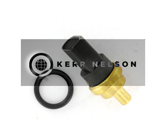 Kerr Nelson ECS008