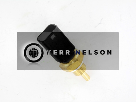Kerr Nelson ECS009