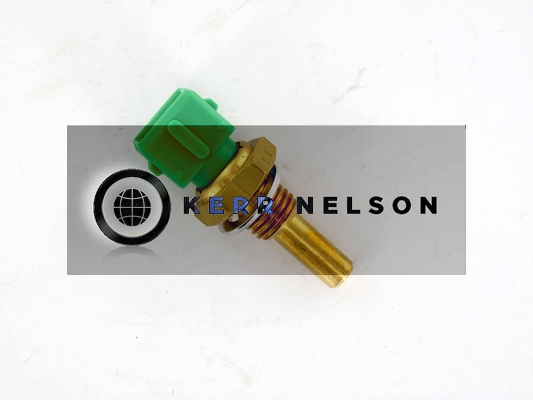 Kerr Nelson ECS010