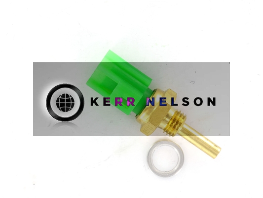 Kerr Nelson ECS012