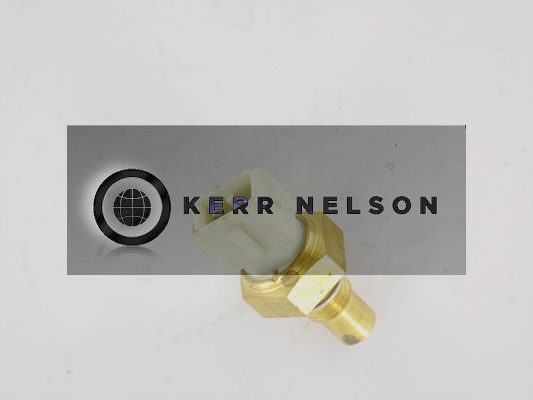 Kerr Nelson ECS014
