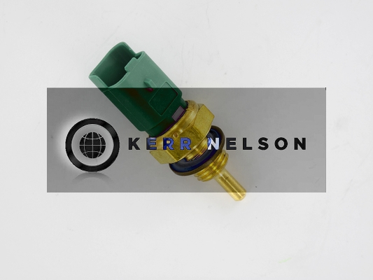 Kerr Nelson ECS016