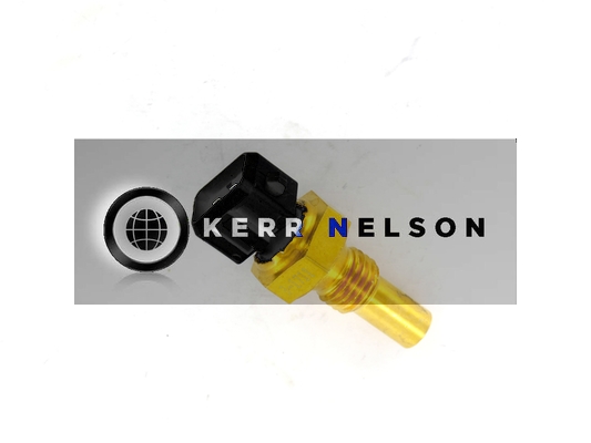 Kerr Nelson ECS019