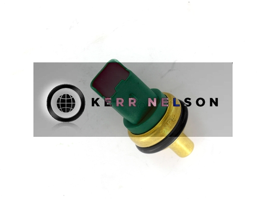 Kerr Nelson ECS026