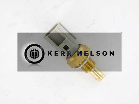 Kerr Nelson ECS028