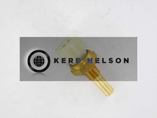 Kerr Nelson ECS030
