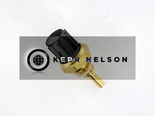 Kerr Nelson ECS038