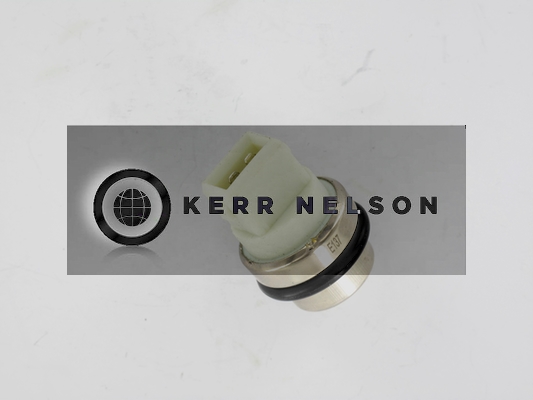 Kerr Nelson ECS040