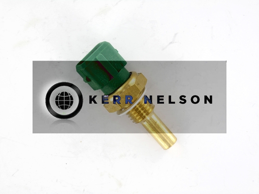 Kerr Nelson ECS046
