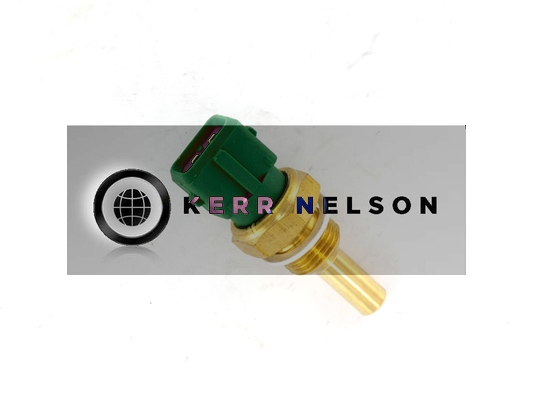 Kerr Nelson ECS047