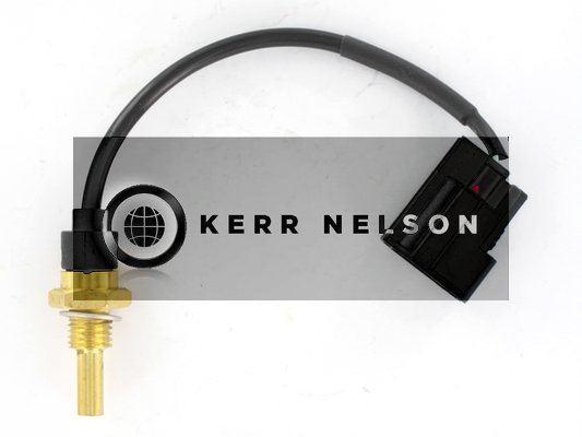 Kerr Nelson ECS048