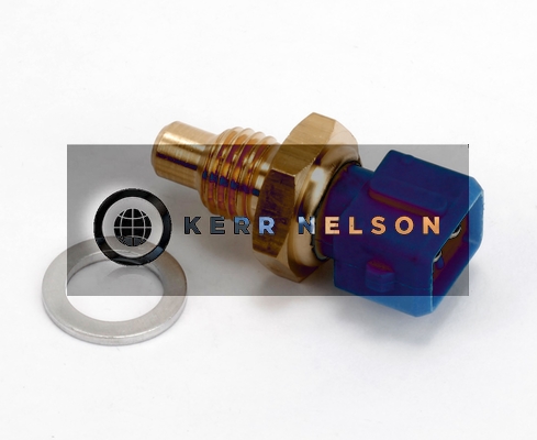 Kerr Nelson ECS051
