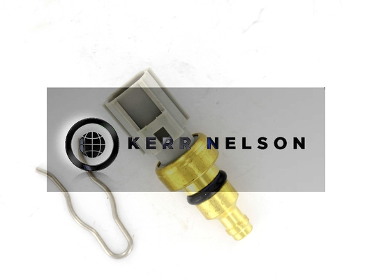 Kerr Nelson ECS052