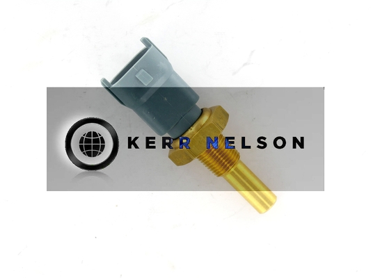 Kerr Nelson ECS054