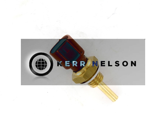 Kerr Nelson ECS056