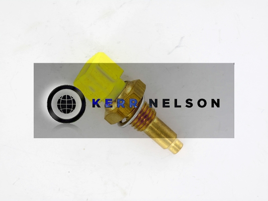 Kerr Nelson ECS071