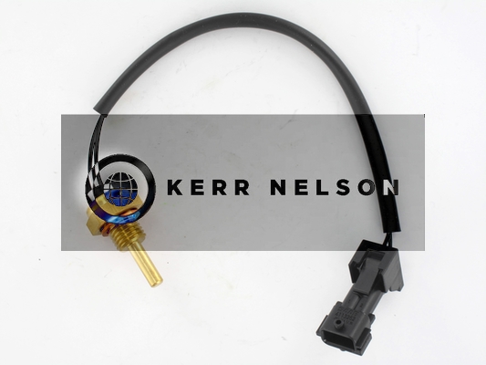 Kerr Nelson ECS076