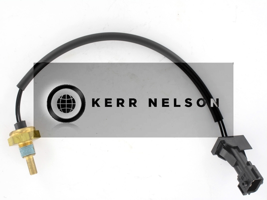 Kerr Nelson ECS083