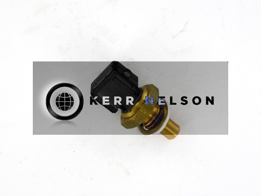 Kerr Nelson ECS084