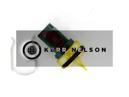 Kerr Nelson ECS096