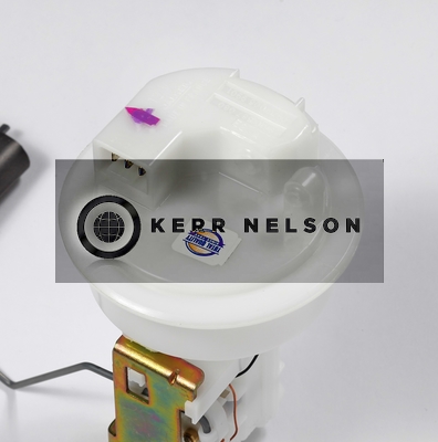 Kerr Nelson EFP187