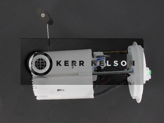 Kerr Nelson EFP581